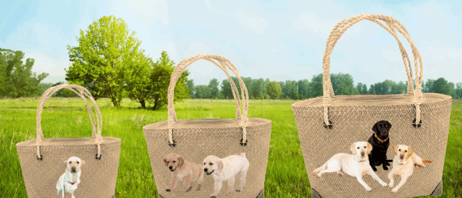 スクリーンショット 2025-05-05 101727