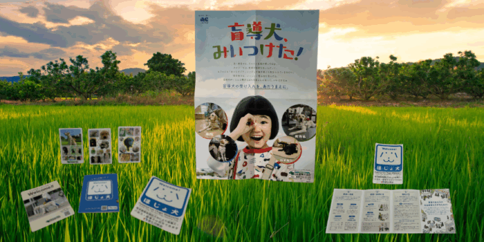 DB3103F3-125E-4A40-90F4-1A08E7F1FD8B